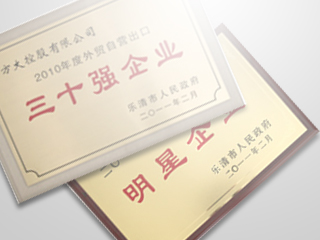 Fangda Holding Co., Ltd. won many honors at the Yueqing economic work conference